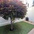 Condominium 3 chambre à vendre à Zapopan, Jalisco, Zapopan