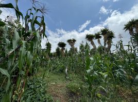  Land for sale in Ecuador, Loja, Loja, Loja, Ecuador