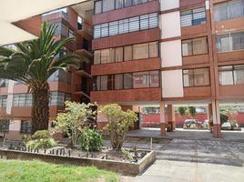 3 Habitación Apartamento en venta en Quito, Pichincha, Quito, Quito