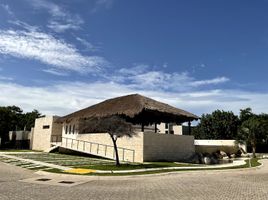  Grundstück zu verkaufen in Cozumel, Quintana Roo, Cozumel