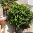 4 Bedroom House for sale in Benito Juarez, Mexico City, Benito Juarez