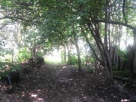  토지을(를) Xochimilco, 멕시코 시티에서 판매합니다., Xochimilco