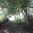  Land for sale in Xochimilco, Mexico City, Xochimilco