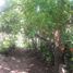  토지을(를) Xochimilco, 멕시코 시티에서 판매합니다., Xochimilco