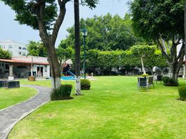2 Habitación Apartamento en alquiler en Cuernavaca, Morelos, Cuernavaca
