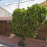 4 Schlafzimmer Villa zu verkaufen in Saltillo, Coahuila, Saltillo