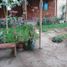  Grundstück zu verkaufen in Ate, Lima, Ate, Lima, Lima, Peru