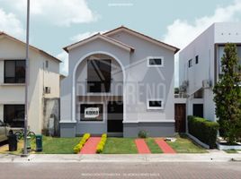 3 Habitación Casa en alquiler en Guayas, Samborondon, Samborondón, Guayas