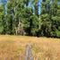  Land for sale in Los Rios, Lanco, Valdivia, Los Rios