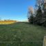  Land for sale in Los Rios, Lanco, Valdivia, Los Rios