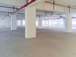 786 SqM Office for rent in Cebu City, Cebu, Cebu City