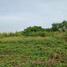  Land for sale in Cavite, Calabarzon, General Trias City, Cavite