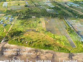  Land for sale in Pura Tanah Lot, Kediri, Tabanan