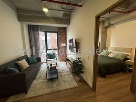 1 Schlafzimmer Wohnung zu vermieten in Miguel Hidalgo, Mexico City, Miguel Hidalgo, Mexico City