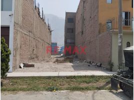  Grundstück zu verkaufen in Lurigancho, Lima, Lurigancho, Lima, Lima, Peru