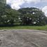  Land for sale in Quezon, Calabarzon, Quezon, Quezon