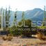  Terreno (Parcela) en alquiler en San Felipe, San Felipe de Aconcagua, San Felipe