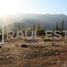  Terreno (Parcela) en alquiler en San Felipe, San Felipe de Aconcagua, San Felipe