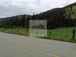  Land for sale in San Joaquin, Cuenca, San Joaquin