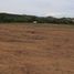  토지을(를) Dist Tehuantepec, 오악 사카에서 판매합니다., Dist Tehuantepec