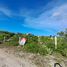  Terrain for sale in Ixil, Yucatan, Ixil