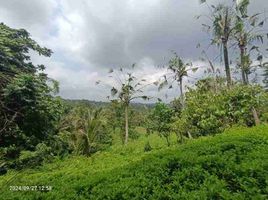  Grundstück zu verkaufen in Tabanan, Bali, Selemadeg, Tabanan