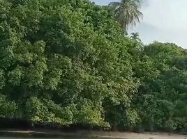  Grundstück zu verkaufen in Berau, East Kalimantan, Talisayan, Berau