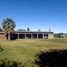 6 Bedroom House for sale in Linares Maule, Villa Alegre, Linares, Maule