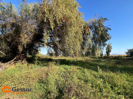  Land for sale in Chile, Linares, Linares, Maule, Chile