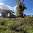  Land for sale in Chile, Linares, Linares, Maule, Chile