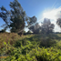  Land for sale in Chile, Linares, Linares, Maule, Chile