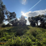  Land for sale in Chile, Linares, Linares, Maule, Chile