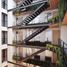 2 Habitación Apartamento en alquiler en Miguel Hidalgo, Ciudad de México, Miguel Hidalgo