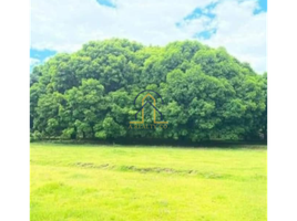  Land for sale in Zambales, Central Luzon, Botolan, Zambales