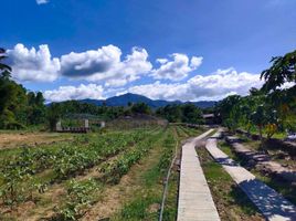  Grundstück zu verkaufen in Leyte, Eastern Visayas, Carigara, Leyte