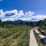  Land for sale in Carigara, Eastern Visayas, Carigara, Leyte