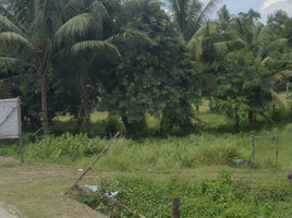  Land for sale in Badian, Cebu, Badian