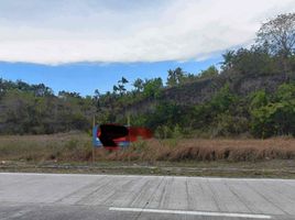  Land for sale in Ronda, Cebu, Ronda