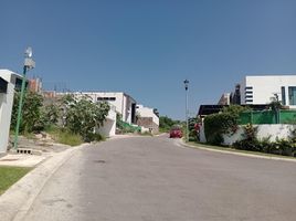  Land for sale in Atlatlahucan, Morelos, Atlatlahucan