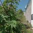  Land for sale in Atlatlahucan, Morelos, Atlatlahucan