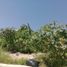  Land for sale in Atlatlahucan, Morelos, Atlatlahucan