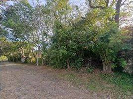  Land for sale in Ixtlahuacan De Los Membrillos, Jalisco, Ixtlahuacan De Los Membrillos