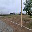  Terreno (Parcela) en venta en San Luis, Cañete, San Luis