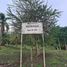  Land for sale in Pucacaca, San Martin, Pucacaca, Picota