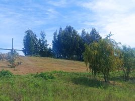  Terreno (Parcela) en venta en Valparaíso, Puchuncavi, Valparaíso, Valparaíso