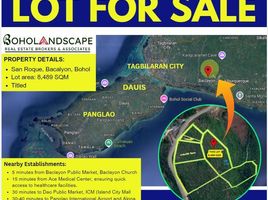  Grundstück zu verkaufen in Baclayon, Central Visayas, Baclayon
