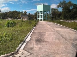  Land for sale in Panglao, Bohol, Panglao