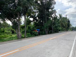  Land for sale in Bacong, Negros Island Region, Bacong, Negros Oriental, Negros Island Region