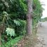  Land for sale in Bacong, Negros Island Region, Bacong, Negros Oriental, Negros Island Region