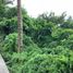  Land for sale in Bacong, Negros Island Region, Bacong, Negros Oriental, Negros Island Region